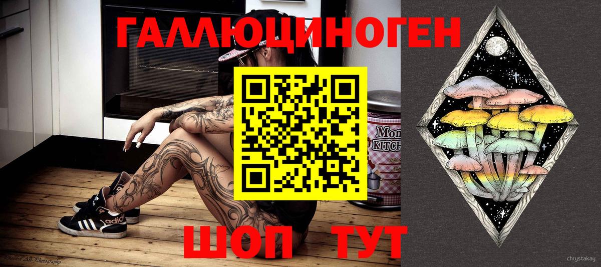 Галлюциногенные грибы Psilocybe Белогорск